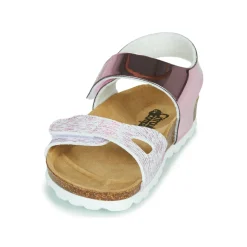 Citrouille et Compagnie - BELLI JOE