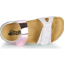 Citrouille et Compagnie - BELLI JOE