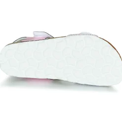 Citrouille et Compagnie - BELLI JOE