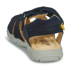 Citrouille et Compagnie - FILOLE