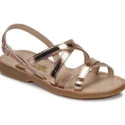 Citrouille et Compagnie - GENTOU