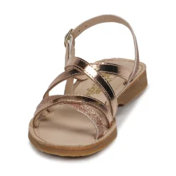 Citrouille et Compagnie - GENTOU