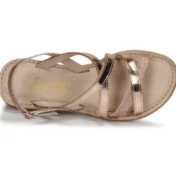 Citrouille et Compagnie - GENTOU