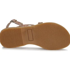 Citrouille et Compagnie - GENTOU