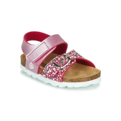 Citrouille et Compagnie - MIRTINO