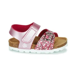 Citrouille et Compagnie - MIRTINO