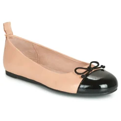 Citrouille et Compagnie - LIOGE