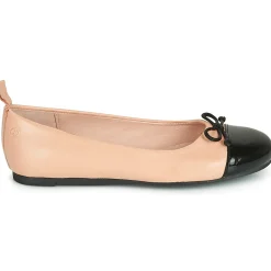 Citrouille et Compagnie - LIOGE