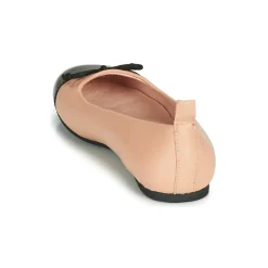 Citrouille et Compagnie - LIOGE