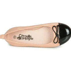 Citrouille et Compagnie - LIOGE