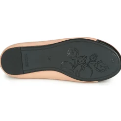 Citrouille et Compagnie - LIOGE