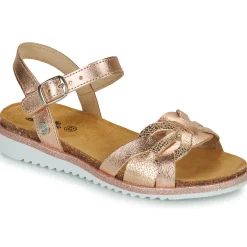 Citrouille et Compagnie - ANEMONI