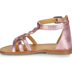 Citrouille et Compagnie - GITANOLO