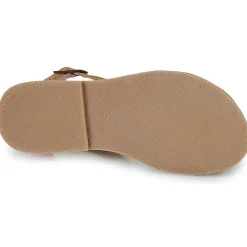 Citrouille et Compagnie - GITANOLO