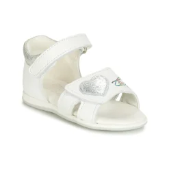 Citrouille et Compagnie - JAFALGA