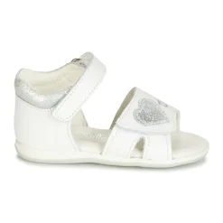 Citrouille et Compagnie - JAFALGA