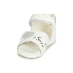 Citrouille et Compagnie - JAFALGA