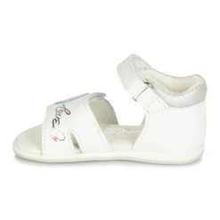 Citrouille et Compagnie - JAFALGA