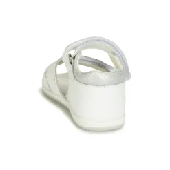 Citrouille et Compagnie - JAFALGA