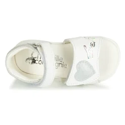 Citrouille et Compagnie - JAFALGA