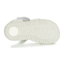 Citrouille et Compagnie - JAFALGA