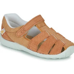 Citrouille et Compagnie - SABLO