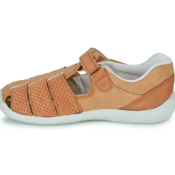 Citrouille et Compagnie - SABLO