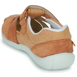 Citrouille et Compagnie - SABLO