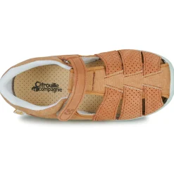 Citrouille et Compagnie - SABLO