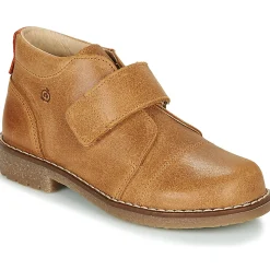 Citrouille et Compagnie - LAPUPI