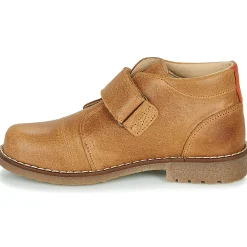 Citrouille et Compagnie - LAPUPI