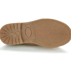 Citrouille et Compagnie - LAPUPI