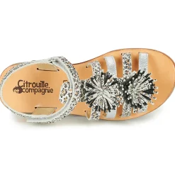 Citrouille et Compagnie - MALINETTE