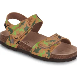 Citrouille et Compagnie - PISTAMI