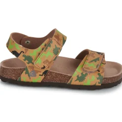 Citrouille et Compagnie - PISTAMI