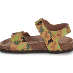 Citrouille et Compagnie - PISTAMI