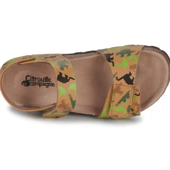 Citrouille et Compagnie - PISTAMI