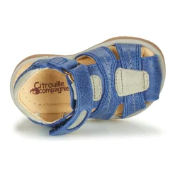 Citrouille et Compagnie - MABILOU