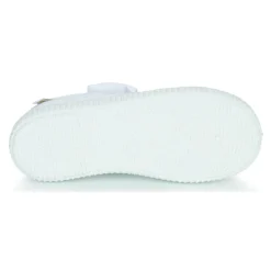 Citrouille et Compagnie - OZIMINI