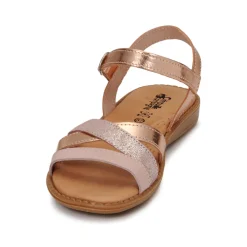 Citrouille et Compagnie - IZOEGL