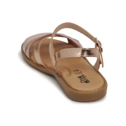 Citrouille et Compagnie - IZOEGL