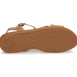 Citrouille et Compagnie - IZOEGL