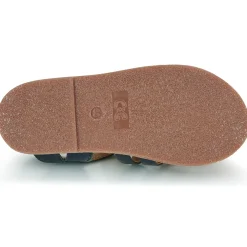 Citrouille et Compagnie - INALA