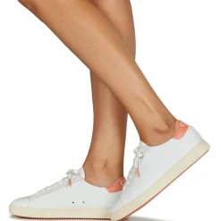 Clae - BRADLEY CALIFORNIA