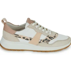 Clarks - DASHLITE JAZZ