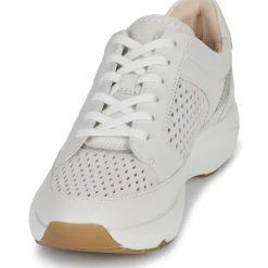 Clarks - Tivoli Walk