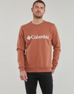 Columbia - CSC Basic Logo II Hoodie