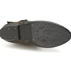 Coqueterra - PATRICE