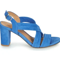 Cosmo Paris - VUKO-VEL