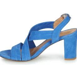 Cosmo Paris - VUKO-VEL